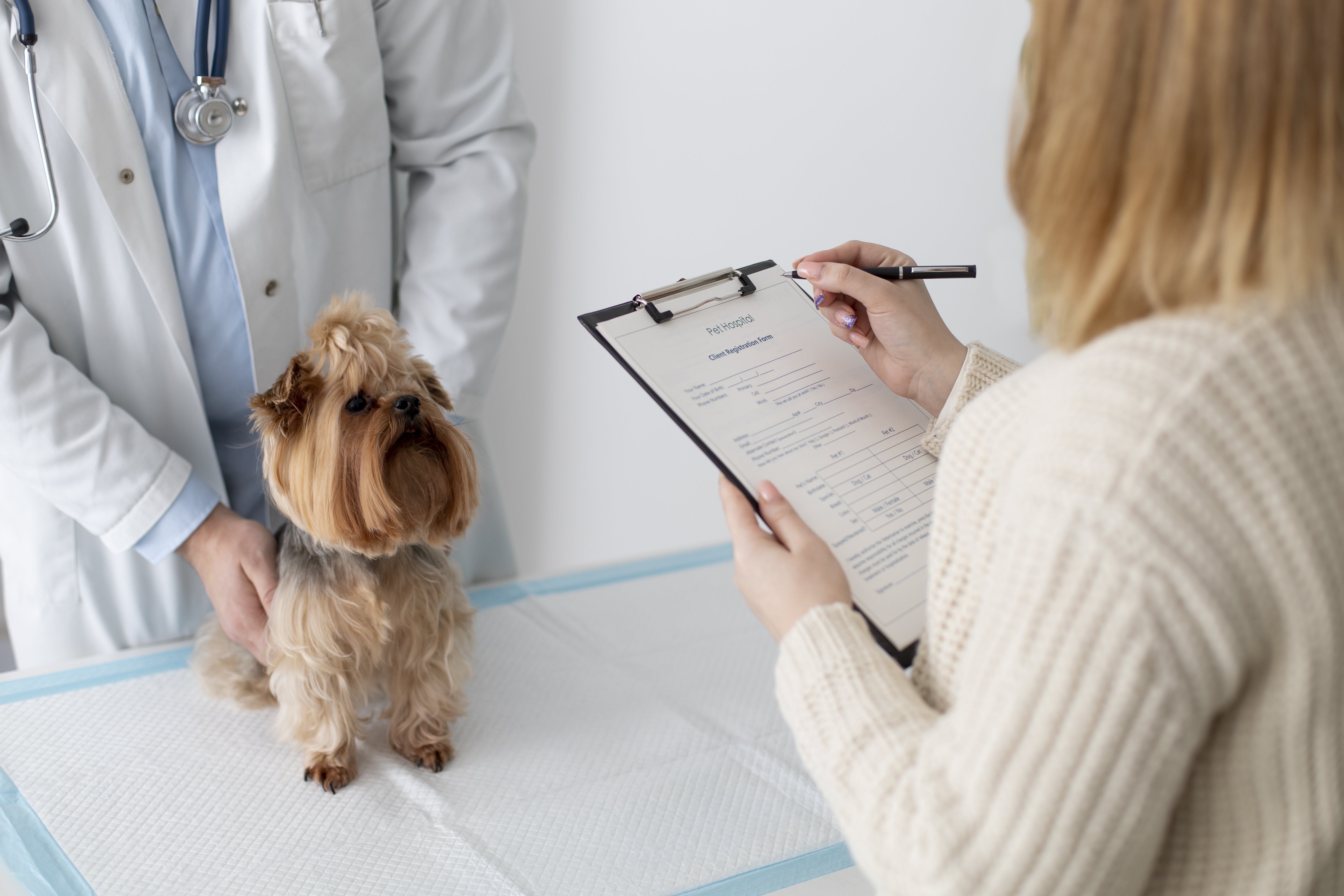 Are Pet Wellness Plans Worth It?